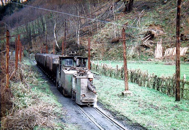 Cerezal.jpg (139.46 KiB) Visto 15526 veces Cerezal.jpg